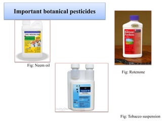 Important botanical pesticides
Fig: Neem oil
Fig: Rotenone
Fig: Tobacco suspension
 