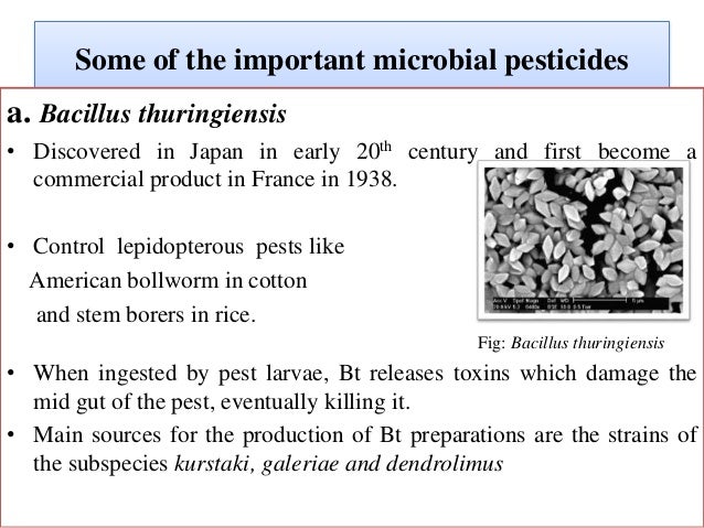 Microbial Biopesticides