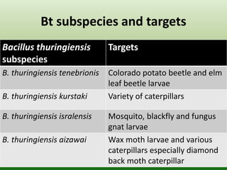Bt subspecies and targets
Bacillus thuringiensis
subspecies
Targets
B. thuringiensis tenebrionis Colorado potato beetle and elm
leaf beetle larvae
B. thuringiensis kurstaki Variety of caterpillars
B. thuringiensis isralensis Mosquito, blackfly and fungus
gnat larvae
B. thuringiensis aizawai Wax moth larvae and various
caterpillars especially diamond
back moth caterpillar
 