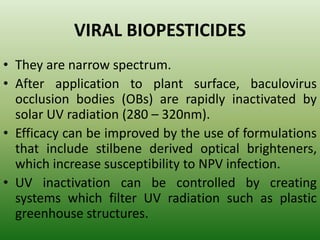 VIRAL BIOPESTICIDES
• They are narrow spectrum.
• After application to plant surface, baculovirus
occlusion bodies (OBs) are rapidly inactivated by
solar UV radiation (280 – 320nm).
• Efficacy can be improved by the use of formulations
that include stilbene derived optical brighteners,
which increase susceptibility to NPV infection.
• UV inactivation can be controlled by creating
systems which filter UV radiation such as plastic
greenhouse structures.
 