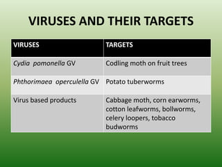 VIRUSES AND THEIR TARGETS
VIRUSES TARGETS
Cydia pomonella GV Codling moth on fruit trees
Phthorimaea operculella GV Potato tuberworms
Virus based products Cabbage moth, corn earworms,
cotton leafworms, bollworms,
celery loopers, tobacco
budworms
 