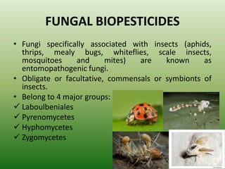 FUNGAL BIOPESTICIDES
• Fungi specifically associated with insects (aphids,
thrips, mealy bugs, whiteflies, scale insects,
mosquitoes and mites) are known as
entomopathogenic fungi.
• Obligate or facultative, commensals or symbionts of
insects.
• Belong to 4 major groups:
 Laboulbeniales
 Pyrenomycetes
 Hyphomycetes
 Zygomycetes
 