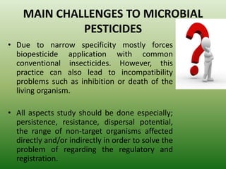 MAIN CHALLENGES TO MICROBIAL
PESTICIDES
• Due to narrow specificity mostly forces
biopesticide application with common
conventional insecticides. However, this
practice can also lead to incompatibility
problems such as inhibition or death of the
living organism.
• All aspects study should be done especially;
persistence, resistance, dispersal potential,
the range of non-target organisms affected
directly and/or indirectly in order to solve the
problem of regarding the regulatory and
registration.
 