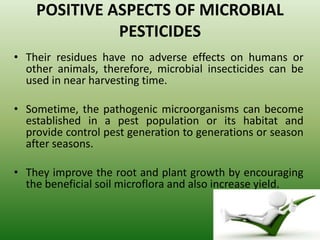 POSITIVE ASPECTS OF MICROBIAL
PESTICIDES
• Their residues have no adverse effects on humans or
other animals, therefore, microbial insecticides can be
used in near harvesting time.
• Sometime, the pathogenic microorganisms can become
established in a pest population or its habitat and
provide control pest generation to generations or season
after seasons.
• They improve the root and plant growth by encouraging
the beneficial soil microflora and also increase yield.
 