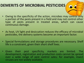 DEMERITS OF MICROBIAL PESTICIDES
• Owing to the specificity of the action, microbes may control only
a portion of the pests present in a field and may not control other
type of pests present in treated areas, which can cause
continuous damage.
• As heat, UV light and desiccation reduces the efficacy of microbial
pesticides, the delivery systems become an important factor.
• Special formulations and storage procedures are necessary. Shelf
life is a constraint, given their short shelf lives.
• Given their pest specificity, markets are limited. The
development, registration and production costs cannot be spread
over a wide range of pest control sales; for example, insect
viruses are not widely available.
 
