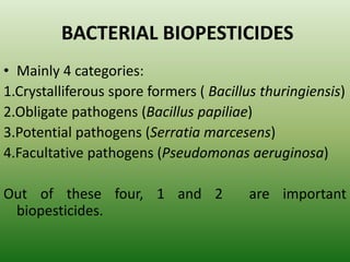 BACTERIAL BIOPESTICIDES
• Mainly 4 categories:
1.Crystalliferous spore formers ( Bacillus thuringiensis)
2.Obligate pathogens (Bacillus papiliae)
3.Potential pathogens (Serratia marcesens)
4.Facultative pathogens (Pseudomonas aeruginosa)
Out of these four, 1 and 2 are important
biopesticides.
 