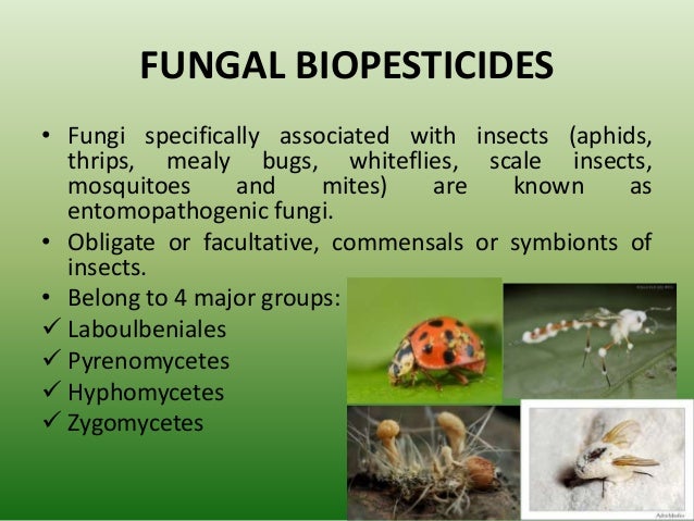 Biopesticides