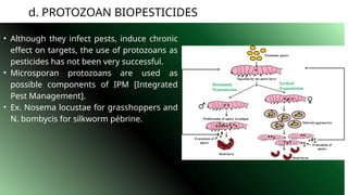 Protozoan Insecticide BIOPESTICIDES, TYPES, MERITS AND DEMRITS | PPTX