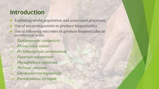 Biopesticides_By_Maliha_Rashid_Uses_Applications.pptx