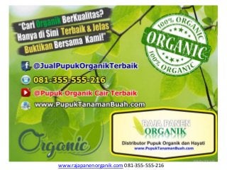 www.rajapanenorganik.com 081-355-555-216
 
