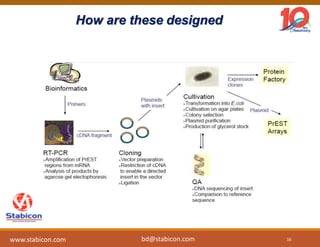 How are these designed
16
www.stabicon.com bd@stabicon.com
 