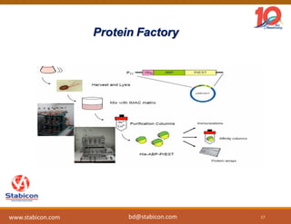 Protein Factory
17
www.stabicon.com bd@stabicon.com
 