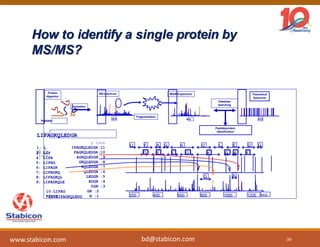 How to identify a single protein by
MS/MS?
Peptides
Theoretical
Spectrum
Database
searching
m/z
Ionization
MS spectrum MS/MS spectrum
Fragmentation
Protein
digestion
Peptide/protein
identification
m/z m/z
200 400 600 800 1000 1200 m/z
K G A F
D E L Q
LIFAGKQLEDGR
b
ions
1: L
2: LI
3: LIF
4: LIFA
5: LIFAG
6: LIFAGK
7: LIFAGKQ
8: LIFAGKQL
9: LIFAGKQLE
10:LIFAG
KQLED
11:LIFAGKQLEDG
y ions
IFAGKQLEDGR:11
FAGKQLEDGR:10
AGKQLEDGR :9
GKQLEDGR :8
KQLEDGR :7
QLEDGR :6
LEDGR :5
EDGR :4
DGR :3
GR :2
R :1
A G
F D
E
L G
LI K Q
Q A
39
www.stabicon.com bd@stabicon.com
 
