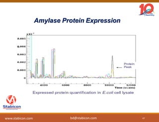 Amylase Protein Expression
47
www.stabicon.com bd@stabicon.com
 