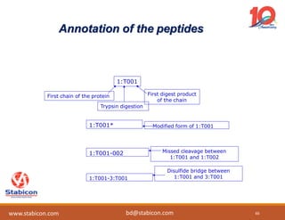 Annotation of the peptides
1:T001
First chain of the protein
Trypsin digestion
First digest product
of the chain
1:T001* Modified form of 1:T001
1:T001-002 Missed cleavage between
1:T001 and 1:T002
1:T001-3:T001
Disulfide bridge between
1:T001 and 3:T001
66
www.stabicon.com bd@stabicon.com
 