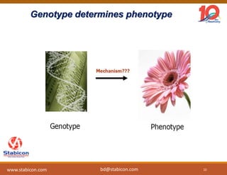 Genotype determines phenotype
10www.stabicon.com bd@stabicon.com
 