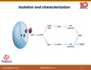 Isolation and characterization
25www.stabicon.com bd@stabicon.com
 