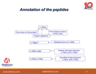 Annotation of the peptides
1:T001
First chain of the protein
Trypsin digestion
First digest product
of the chain
1:T001* Modified form of 1:T001
1:T001-002 Missed cleavage between
1:T001 and 1:T002
1:T001-3:T001
Disulfide bridge between
1:T001 and 3:T001
66www.stabicon.com bd@stabicon.com
 