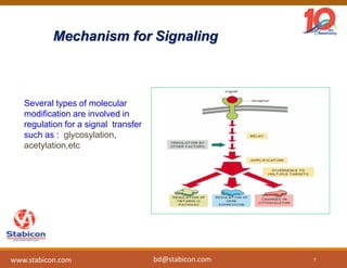 Mechanism for Signaling
Several types of molecular
modification are involved in
regulation for a signal transfer
such as : glycosylation,
acetylation,etc
7www.stabicon.com bd@stabicon.com
 