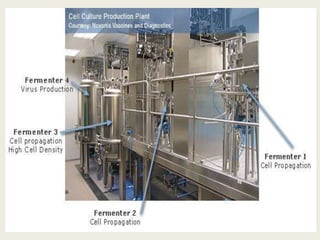  to respond to a human influenza
pandemic.

to respond to a human influenza pandemic.
 