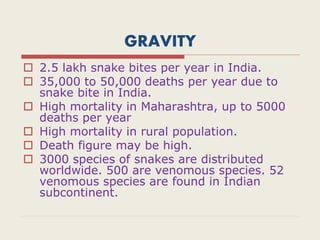 GRAVITY
 2.5 lakh snake bites per year in India.
 35,000 to 50,000 deaths per year due to
snake bite in India.
 High mortality in Maharashtra, up to 5000
deaths per year
 High mortality in rural population.
 Death figure may be high.
 3000 species of snakes are distributed
worldwide. 500 are venomous species. 52
venomous species are found in Indian
subcontinent.
 