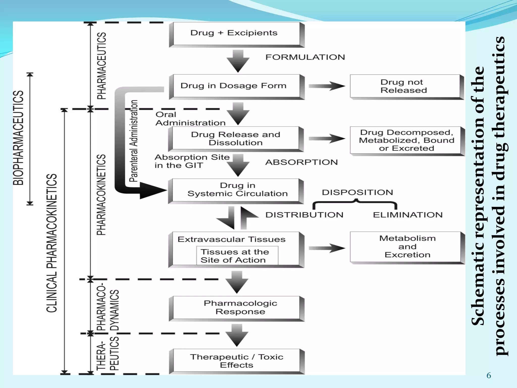 Biopharmaceutics: Mechanisms of Drug Absorption | PDF