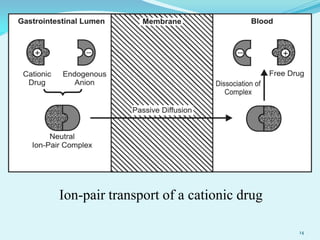 Ion-pair transport of a cationic drug
14
 