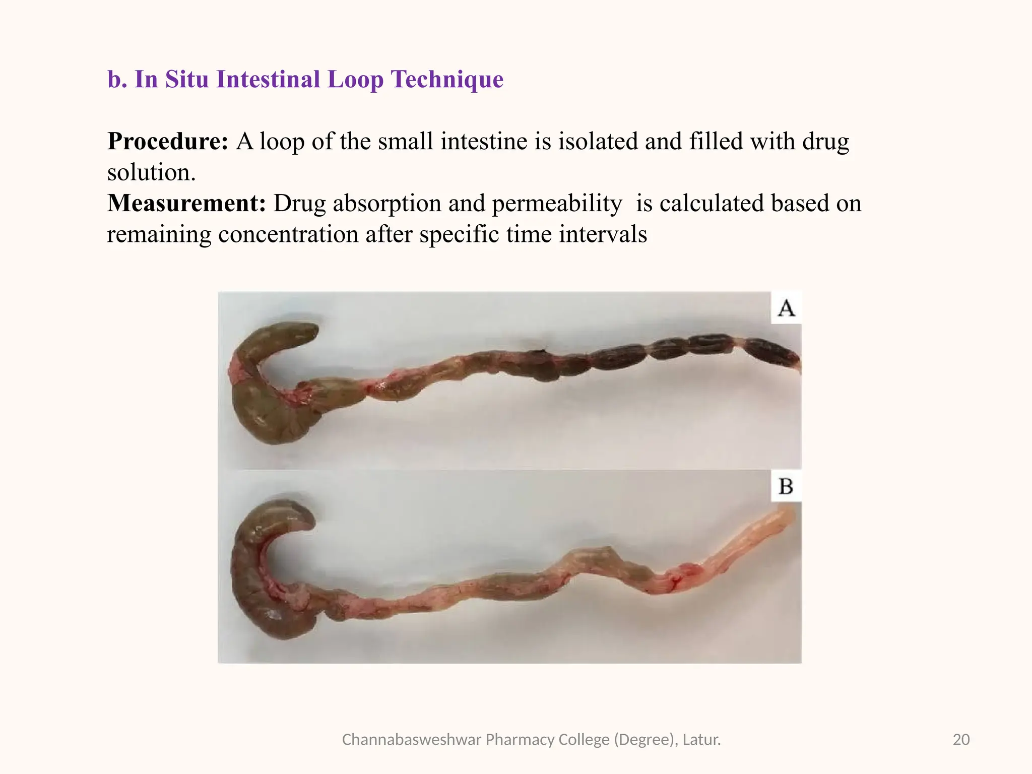 Biopharmaceutics Classification System and Methods of Permeability.pptx