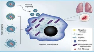 Computer Aided drug Design and its discovery process | PPTX