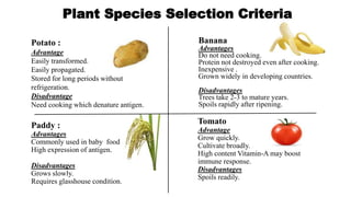 Potato :
Advantage
Easily transformed.
Easily propagated.
Stored for long periods without
refrigeration.
Disadvantage
Need cooking which denature antigen.
Banana
Advantages
Do not need cooking.
Protein not destroyed even after cooking.
Inexpensive .
Grown widely in developing countries.
Disadvantages
Trees take 2-3 to mature years.
Spoils rapidly after ripening.
Paddy :
Advantages
Commonly used in baby food.
High expression of antigen.
Disadvantages
Grows slowly.
Requires glasshouse condition.
Tomato
Advantage
Grow quickly.
Cultivate broadly.
High content Vitamin-A may boost
immune response.
Disadvantages
Spoils readily.
Plant Species Selection Criteria
 