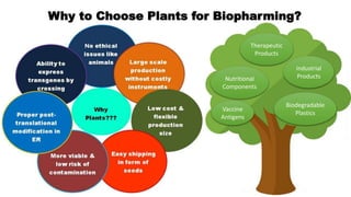 Why to Choose Plants for Biopharming?
Therapeutic
Products
Nutritional
Components
Biodegradable
Plastics
Vaccine
Antigens
Industrial
Products
 