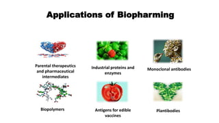 Applications of Biopharming
Parental therapeutics
and pharmaceutical
intermediates
Industrial proteins and
enzymes
Monoclonal antibodies
Biopolymers Antigens for edible
vaccines
Plantibodies
 