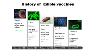 History of Edible vaccines
Mason et al 1992 Haq et al 1995 McGarvey et al 1995 Mason et al 1996 Hein et al 1996 ….
Hepatitis
Hepatitis B
surface antigen
(HBsAg)
Tobacco/leaf
Norwalk virus
(NV)
Gastroenteritis
Norwalk virus
capsid protein
(NVCP)
Potato/tuber
tobacco/leaf
Rabies virus
Rabies
Rabies virus
glycoprotein
(RVG)
Tomato/leaf,
fruit
V. Cholerae
Cholera
Cholera toxin
B subunit
(CTB)
Tobacco/leaf
E. Coli
Diarrhea
Heat labile
toxin B subunit
(LTB)
Potato/tuber,
tobacco/
leaf
 