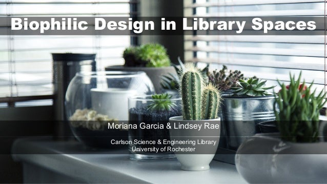 Biophilic Design in Library Spaces
