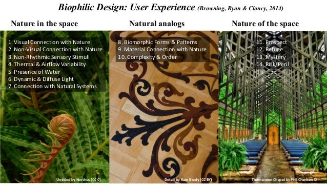 Biophilic Design in Library Spaces