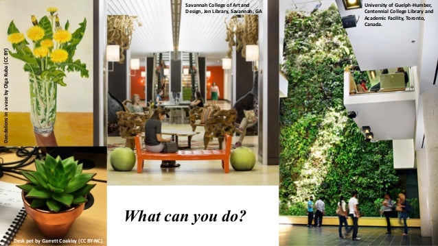 Biophilic Design in Library Spaces
