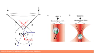 Sources: https://en.wikipedia.org/wiki/Optical_tweezers
 