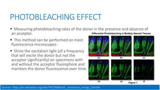 PHOTOBLEACHING EFFECT
 Measuring photobleaching rates of the donor in the presence and absence of
an acceptor.
 This method can be performed on most
fluorescence microscopes:
 Shine the excitation light (of a frequency
that will excite the donor but not the
acceptor significantly) on specimens with
and without the acceptor fluorophore and
monitors the donor fluorescence over time.
Sources: https://en.wikipedia.org/wiki/F%C3%B6rster_resonance_energy_transfer
 