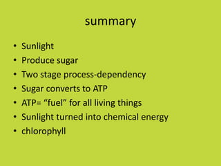summary
•   Sunlight
•   Produce sugar
•   Two stage process-dependency
•   Sugar converts to ATP
•   ATP= “fuel” for all living things
•   Sunlight turned into chemical energy
•   chlorophyll
 