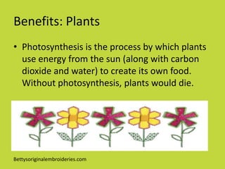 Benefits: Plants
• Photosynthesis is the process by which plants
  use energy from the sun (along with carbon
  dioxide and water) to create its own food.
  Without photosynthesis, plants would die.




Bettysoriginalembroideries.com
 