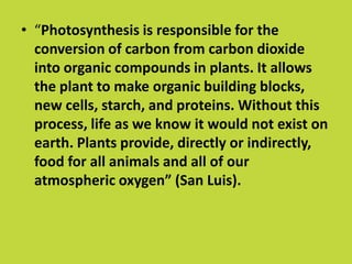 • “Photosynthesis is responsible for the
  conversion of carbon from carbon dioxide
  into organic compounds in plants. It allows
  the plant to make organic building blocks,
  new cells, starch, and proteins. Without this
  process, life as we know it would not exist on
  earth. Plants provide, directly or indirectly,
  food for all animals and all of our
  atmospheric oxygen” (San Luis).
 