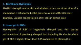 Hydrolysis Rbc Biophysical Properties – Lecture -4.pptx
