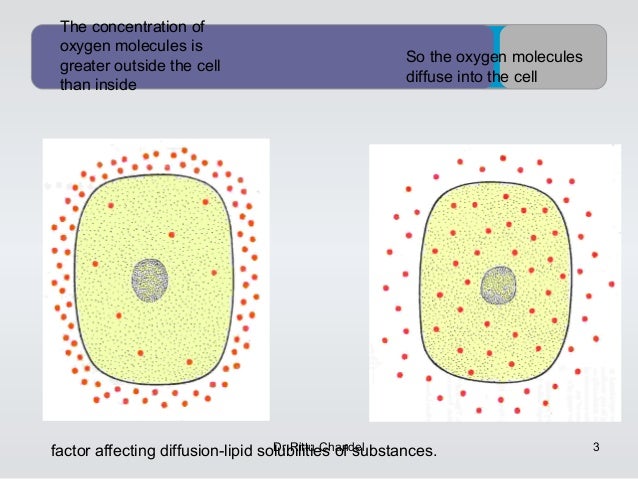 Biophysics -diffusion,osmosis,osmotic pressure,dialysis