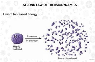SECOND LAW OF THERMODYNAMICS
Law of Increased Energy
 