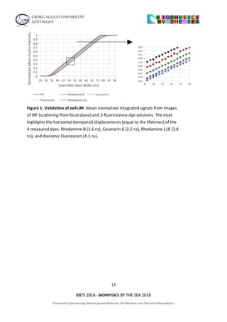 13
BBTS 2016 - BIOPHYSICS BY THE SEA 2016
Fluorescence Spectroscopy, Microscopy and Molecular Cell Mechanics and Theoretical Neurophysics
Figure 1. Validation of eeFLIM. Mean normalized integrated signals from images
of IRF (scattering from focal plane) and 3 fluorescence dye solutions. The inset
highlights the horizontal (temporal) displacements (equal to the lifetimes) of the
4 measured dyes: Rhodamine B (1.6 ns), Coumarin 6 (2.5 ns), Rhodamine 110 (3.8
ns), and dianionic Fluorescein (4.1 ns).
 