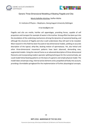 14
BBTS 2016 - BIOPHYSICS BY THE SEA 2016
Fluorescence Spectroscopy, Microscopy and Molecular Cell Mechanics and Theoretical Neurophysics
Generic Three Dimensional Modelling of Beating Flagella and Cilia
Moritz Kalhöfer-Köchling, Steffen Mühle
III. Institute of Physics – Biophysics, Georg-August-University Göttingen
m.ka-koe@gmx.net
Flagella and cilia are motile, hairlike cell appendages, providing forces, capable of self
propulsion and transport for example of waste in the trachea. Strong effort has been put into
the elucidation of the underlying mechanisms driving the dynamics of axonemal beating, and
although the structure of flagella and cilia is well understood, they still wait to be revealed.
Most research in this field has been focused on two dimensional models, yielding an accurate
description of the typical, whip-like, beating motion of spermatozoa. Yet, also helical and
other three-dimensional movement patterns have been observed, demanding new,
augmented models. Using the natural frame as an advanced description of three-dimensional
filaments and incorporating modern operator splitting techniques for the numerical tasks, we
could model helical beating patterns on the basis of a generic and simple physical model. The
model takes anisotropic drag, internal active elements and a propelled cell body into account,
providing a formidable springboard for the implementation of further physiological concepts.
 