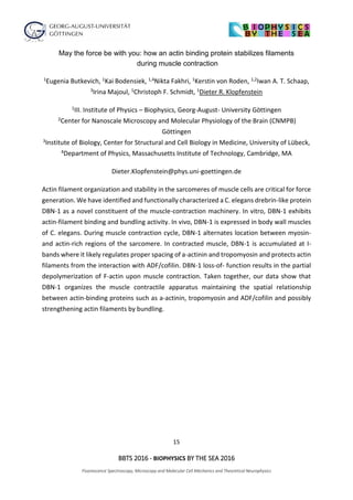 15
BBTS 2016 - BIOPHYSICS BY THE SEA 2016
Fluorescence Spectroscopy, Microscopy and Molecular Cell Mechanics and Theoretical Neurophysics
May the force be with you: how an actin binding protein stabilizes filaments
during muscle contraction
1Eugenia Butkevich, 1Kai Bodensiek, 1,4Nikta Fakhri, 1Kerstin von Roden, 1,2Iwan A. T. Schaap,
3Irina Majoul, 1Christoph F. Schmidt, 1Dieter R. Klopfenstein
1III. Institute of Physics – Biophysics, Georg-August- University Göttingen
2Center for Nanoscale Microscopy and Molecular Physiology of the Brain (CNMPB)
Göttingen
3Institute of Biology, Center for Structural and Cell Biology in Medicine, University of Lübeck,
4Department of Physics, Massachusetts Institute of Technology, Cambridge, MA
Dieter.Klopfenstein@phys.uni-goettingen.de
Actin filament organization and stability in the sarcomeres of muscle cells are critical for force
generation. We have identified and functionally characterized a C. elegans drebrin-like protein
DBN-1 as a novel constituent of the muscle-contraction machinery. In vitro, DBN-1 exhibits
actin-filament binding and bundling activity. In vivo, DBN-1 is expressed in body wall muscles
of C. elegans. During muscle contraction cycle, DBN-1 alternates location between myosin-
and actin-rich regions of the sarcomere. In contracted muscle, DBN-1 is accumulated at I-
bands where it likely regulates proper spacing of a-actinin and tropomyosin and protects actin
filaments from the interaction with ADF/cofilin. DBN-1 loss-of- function results in the partial
depolymerization of F-actin upon muscle contraction. Taken together, our data show that
DBN-1 organizes the muscle contractile apparatus maintaining the spatial relationship
between actin-binding proteins such as a-actinin, tropomyosin and ADF/cofilin and possibly
strengthening actin filaments by bundling.
 