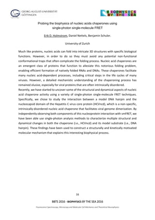 16
BBTS 2016 - BIOPHYSICS BY THE SEA 2016
Fluorescence Spectroscopy, Microscopy and Molecular Cell Mechanics and Theoretical Neurophysics
Probing the biophysics of nucleic acids chaperones using
single-photon single-molecule FRET
Erik D. Holmstrom, Daniel Nettels, Benjamin Schuler.
University of Zurich
Much like proteins, nucleic acids can fold into intricate 3D structures with specific biological
functions. However, in order to do so they must avoid any potential non-functional
conformational traps that often complicate the folding process. Nucleic acid chaperones are
an emergent class of proteins that function to alleviate this notorious folding problem,
enabling efficient formation of natively folded RNAs and DNAs. These chaperones facilitate
many nucleic acid-dependent processes, including critical steps in the life cycles of many
viruses. However, a detailed mechanistic understanding of the chaperoning process has
remained elusive, especially for viral proteins that are often intrinsically disordered.
Recently, we have started to uncover some of the structural and dynamical aspects of nucleic
acid chaperone activity using a variety of single-photon single-molecule FRET techniques.
Specifically, we chose to study the interaction between a model DNA hairpin and the
nucleocapsid domain of the Hepatitis C virus core protein (HCVncd), which is a non-specific,
intrinsically-disordered nucleic acid chaperone that facilitates viral genome dimerization. By
independently observing both components of this nucleoprotein interaction with smFRET, we
have been able use single-photon analysis methods to characterize multiple structural and
dynamical changes in both the chaperone (i.e., HCVncd) and its model substrate (i.e., DNA
hairpin). These findings have been used to construct a structurally and kinetically motivated
molecular mechanism that explains this interesting biophysical process.
 