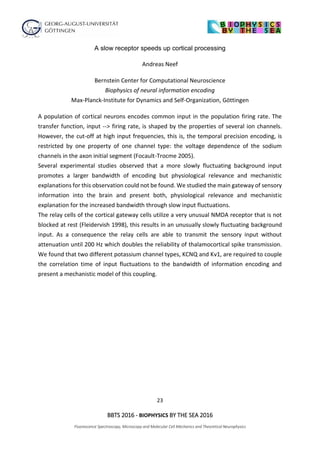 23
BBTS 2016 - BIOPHYSICS BY THE SEA 2016
Fluorescence Spectroscopy, Microscopy and Molecular Cell Mechanics and Theoretical Neurophysics
A slow receptor speeds up cortical processing
Andreas Neef
Bernstein Center for Computational Neuroscience
Biophysics of neural information encoding
Max-Planck-Institute for Dynamics and Self-Organization, Göttingen
A population of cortical neurons encodes common input in the population firing rate. The
transfer function, input --> firing rate, is shaped by the properties of several ion channels.
However, the cut-off at high input frequencies, this is, the temporal precision encoding, is
restricted by one property of one channel type: the voltage dependence of the sodium
channels in the axon initial segment (Focault-Trocme 2005).
Several experimental studies observed that a more slowly fluctuating background input
promotes a larger bandwidth of encoding but physiological relevance and mechanistic
explanations for this observation could not be found. We studied the main gateway of sensory
information into the brain and present both, physiological relevance and mechanistic
explanation for the increased bandwidth through slow input fluctuations.
The relay cells of the cortical gateway cells utilize a very unusual NMDA receptor that is not
blocked at rest (Fleidervish 1998), this results in an unusually slowly fluctuating background
input. As a consequence the relay cells are able to transmit the sensory input without
attenuation until 200 Hz which doubles the reliability of thalamocortical spike transmission.
We found that two different potassium channel types, KCNQ and Kv1, are required to couple
the correlation time of input fluctuations to the bandwidth of information encoding and
present a mechanistic model of this coupling.
 