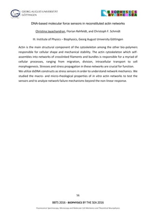 56
BBTS 2016 - BIOPHYSICS BY THE SEA 2016
Fluorescence Spectroscopy, Microscopy and Molecular Cell Mechanics and Theoretical Neurophysics
DNA-based molecular force sensors in reconstituted actin networks
Christina Jayachandran, Florian Rehfeldt, and Christoph F. Schmidt
III. Institute of Physics – Biophysics, Georg August University Göttingen
Actin is the main structural component of the cytoskeleton among the other bio-polymers
responsible for cellular shape and mechanical stability. The actin cytoskeleton which self-
assembles into networks of crosslinked filaments and bundles is responsible for a myriad of
cellular processes, ranging from migration, division, intracellular transport to cell
morphogenesis. Stresses and stress propagation in these networks are crucial for function.
We utilize dsDNA constructs as stress sensors in order to understand network mechanics. We
studied the macro- and micro-rheological properties of in vitro actin networks to test the
sensors and to analyze network failure mechanisms beyond the non-linear response.
 
